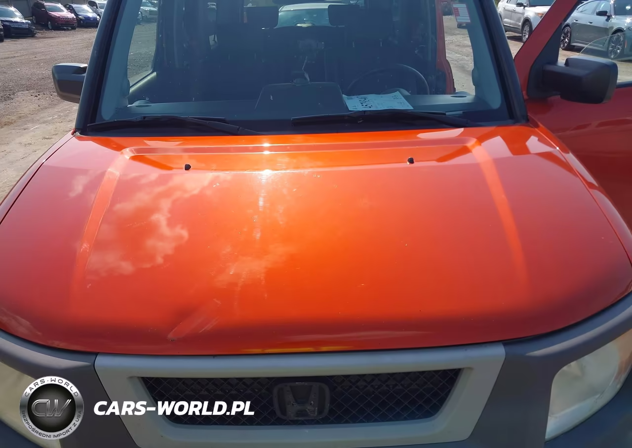 2004 Honda Element Ex VIN:5J6YH18564L003937 - 10