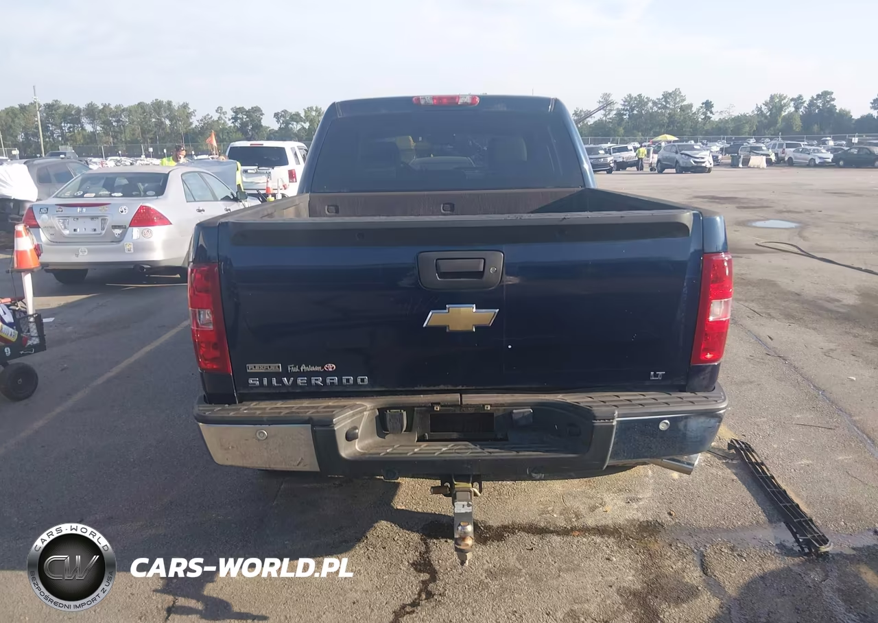 2010 Chevrolet Silverado 1500 Lt VIN:3GCRKSE33AG114135 - 16