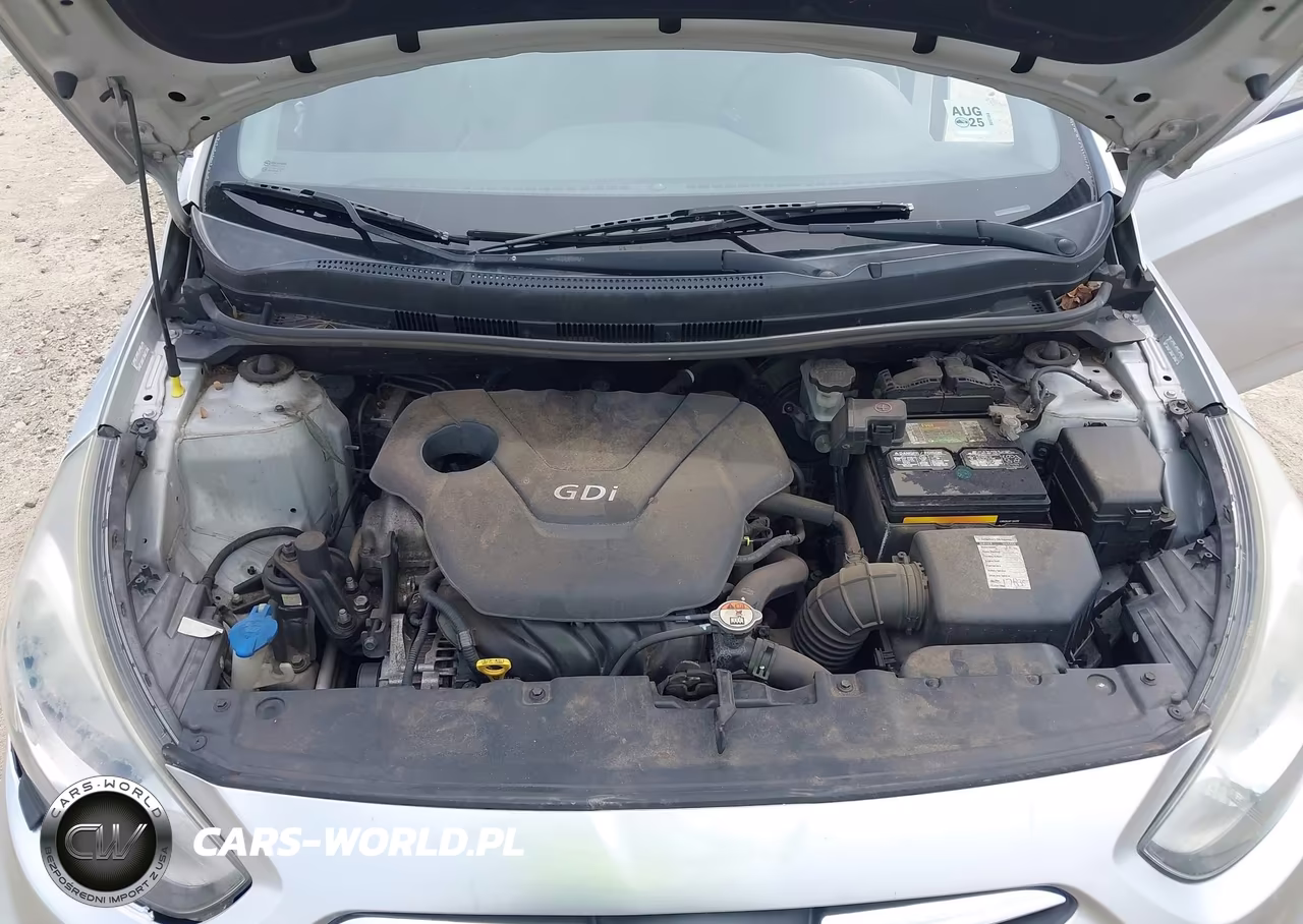 2013 Hyundai Accent Gs VIN:KMHCT5AE9DU137976 - 10
