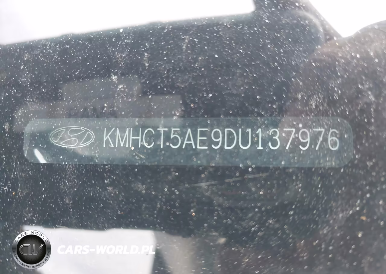 2013 Hyundai Accent Gs VIN:KMHCT5AE9DU137976 - 12