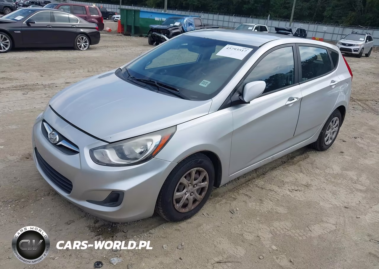 2013 Hyundai Accent Gs VIN:KMHCT5AE9DU137976 - 2