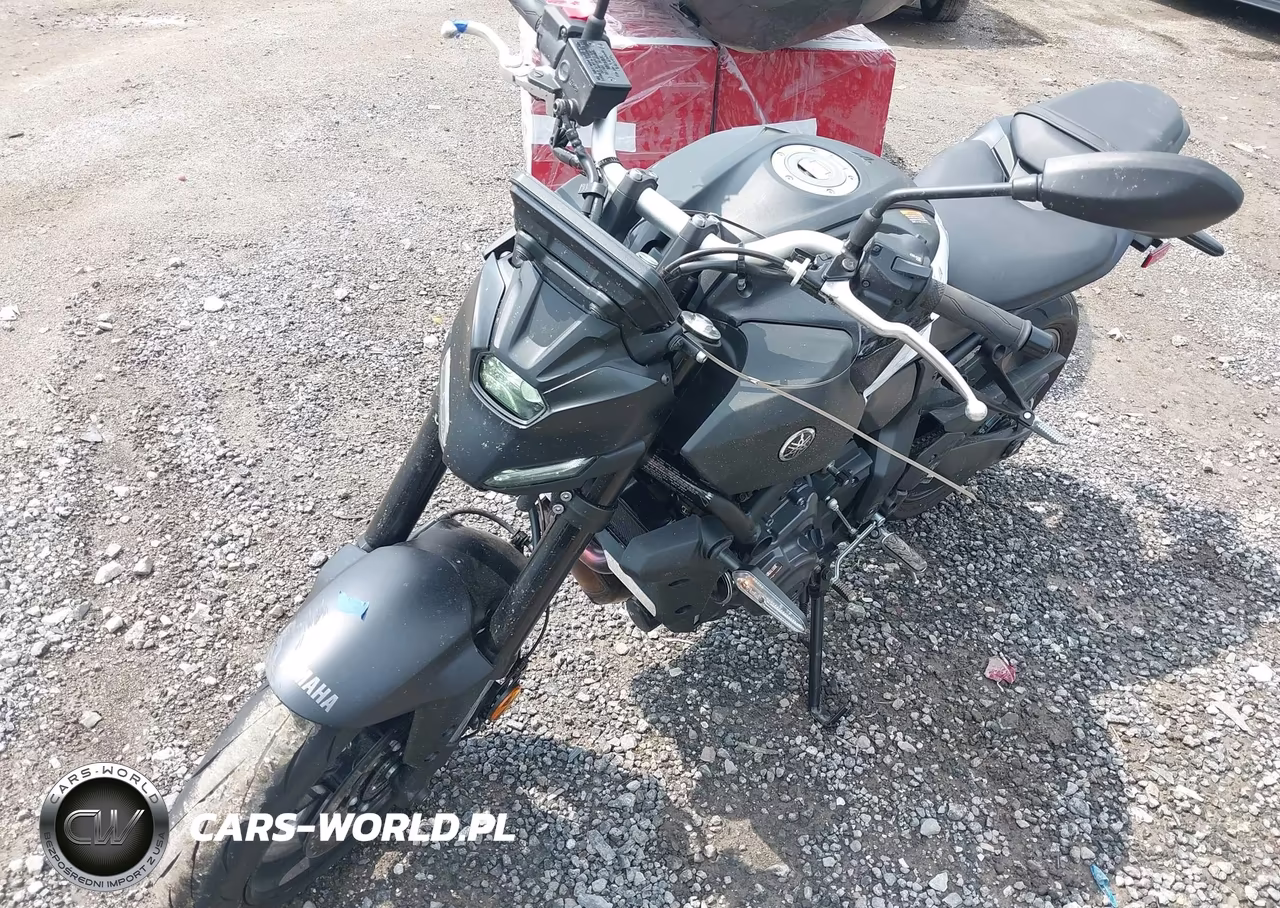 2026 Yamaha Mtn690 VIN:JYARM48E5TA005370 - 1
