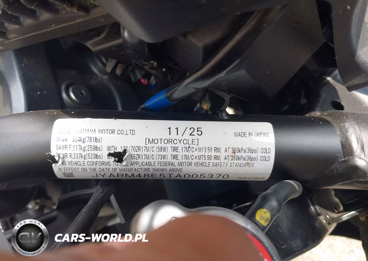 2026 Yamaha Mtn690 VIN:JYARM48E5TA005370 - 10
