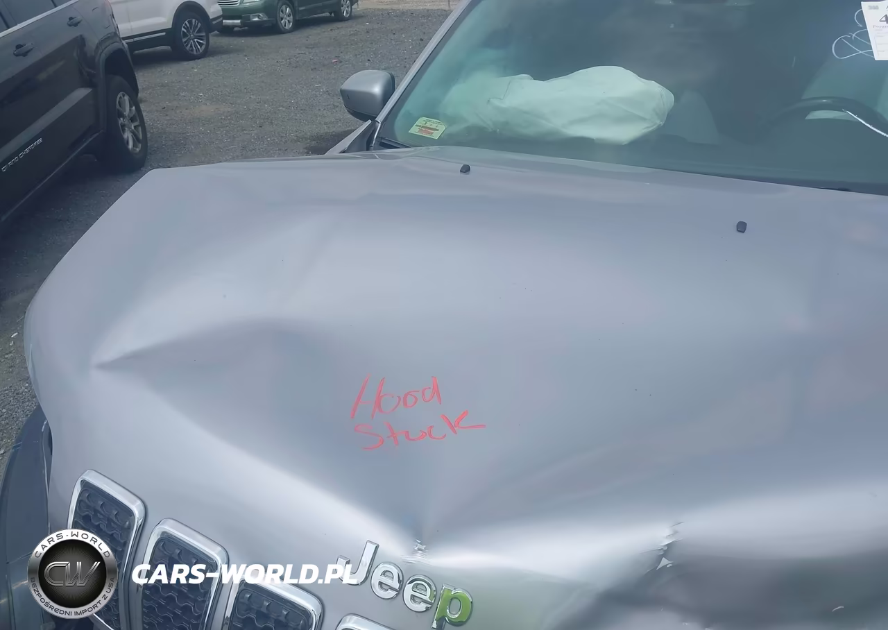 2020 Jeep Cherokee Limited 4X4 VIN:1C4PJMDX4LD651915 - 10
