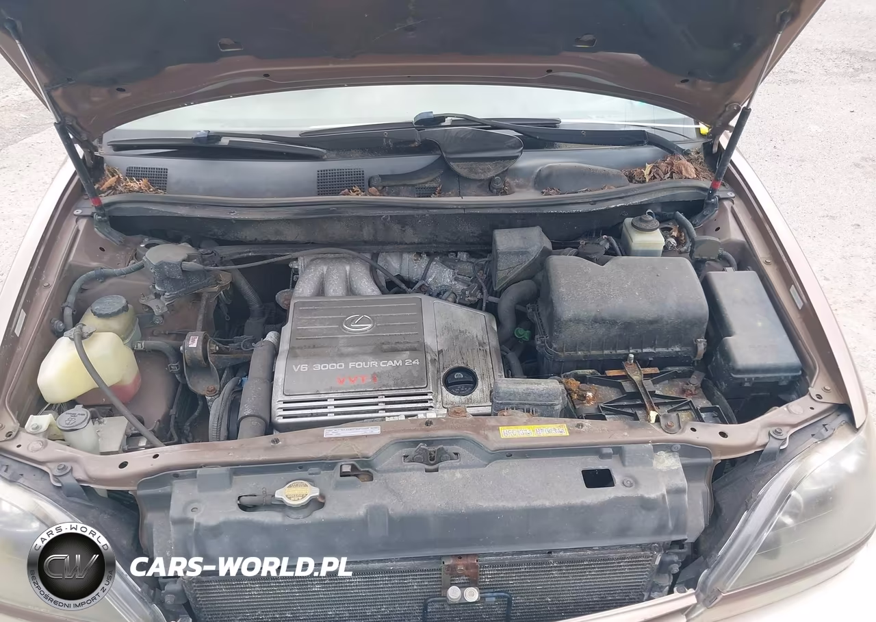 1999 Lexus Rx 300 VIN:JT6HF10U3X0081331 - 10