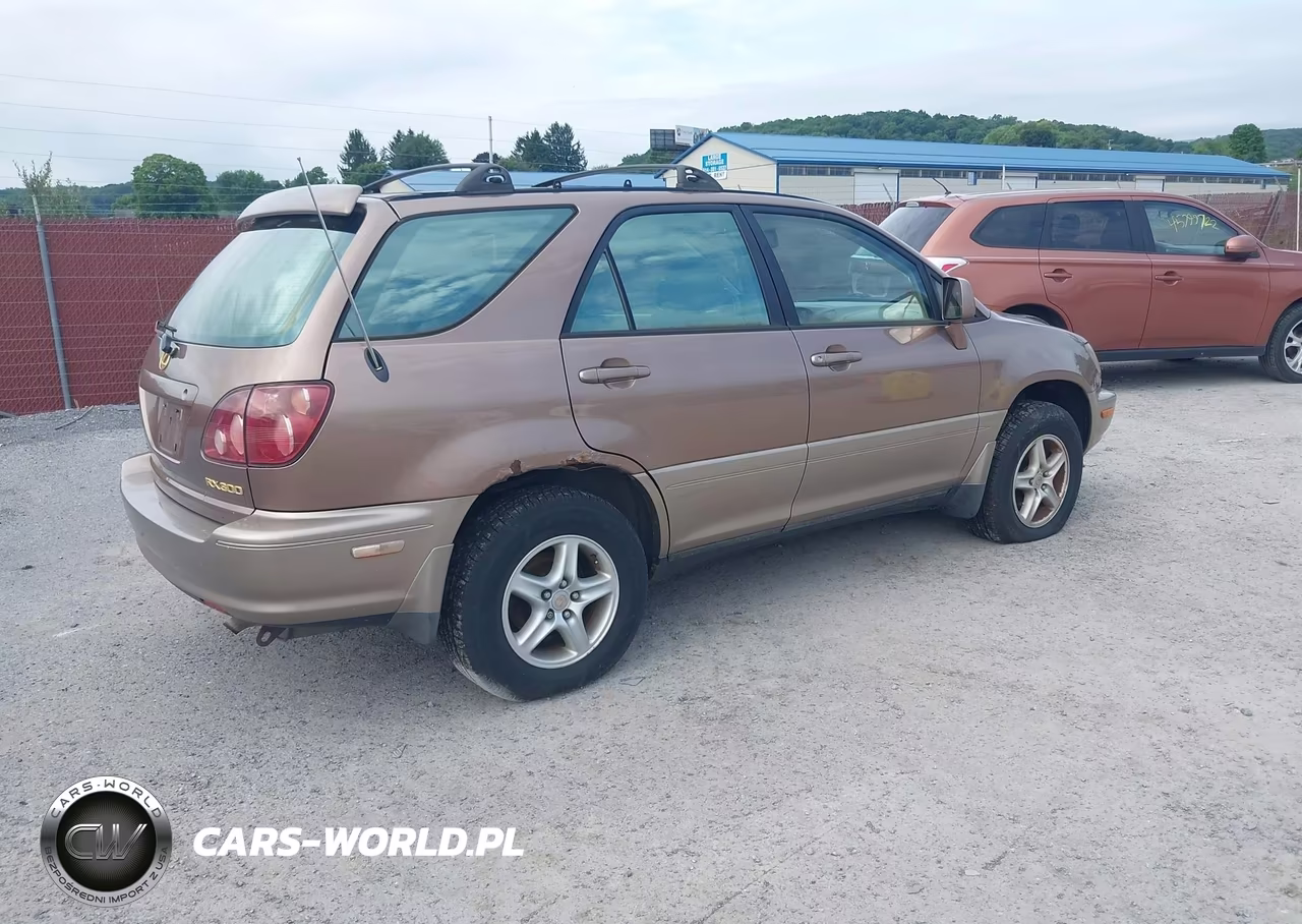 1999 Lexus Rx 300 VIN:JT6HF10U3X0081331 - 4