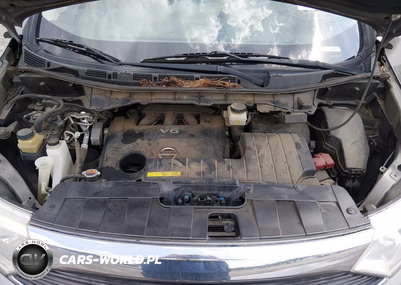 2015 Nissan Quest S-Sv-Sl-Platinum VIN:JN8AE2KP9F9123784 - 10