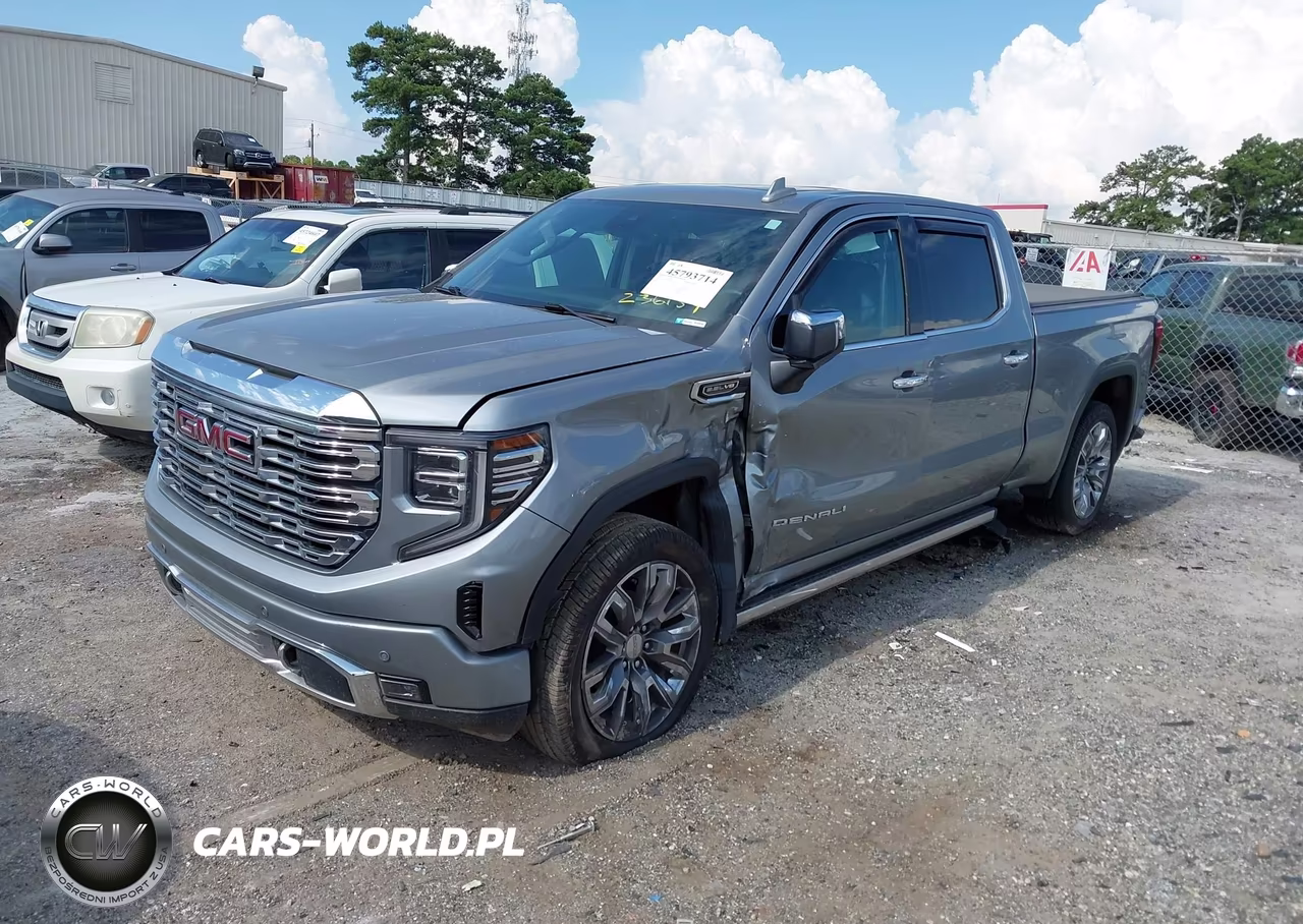 2023 GMC Sierra 1500 4Wd Standard Box Denali VIN:3GTUUGEDXPG236154 - 2