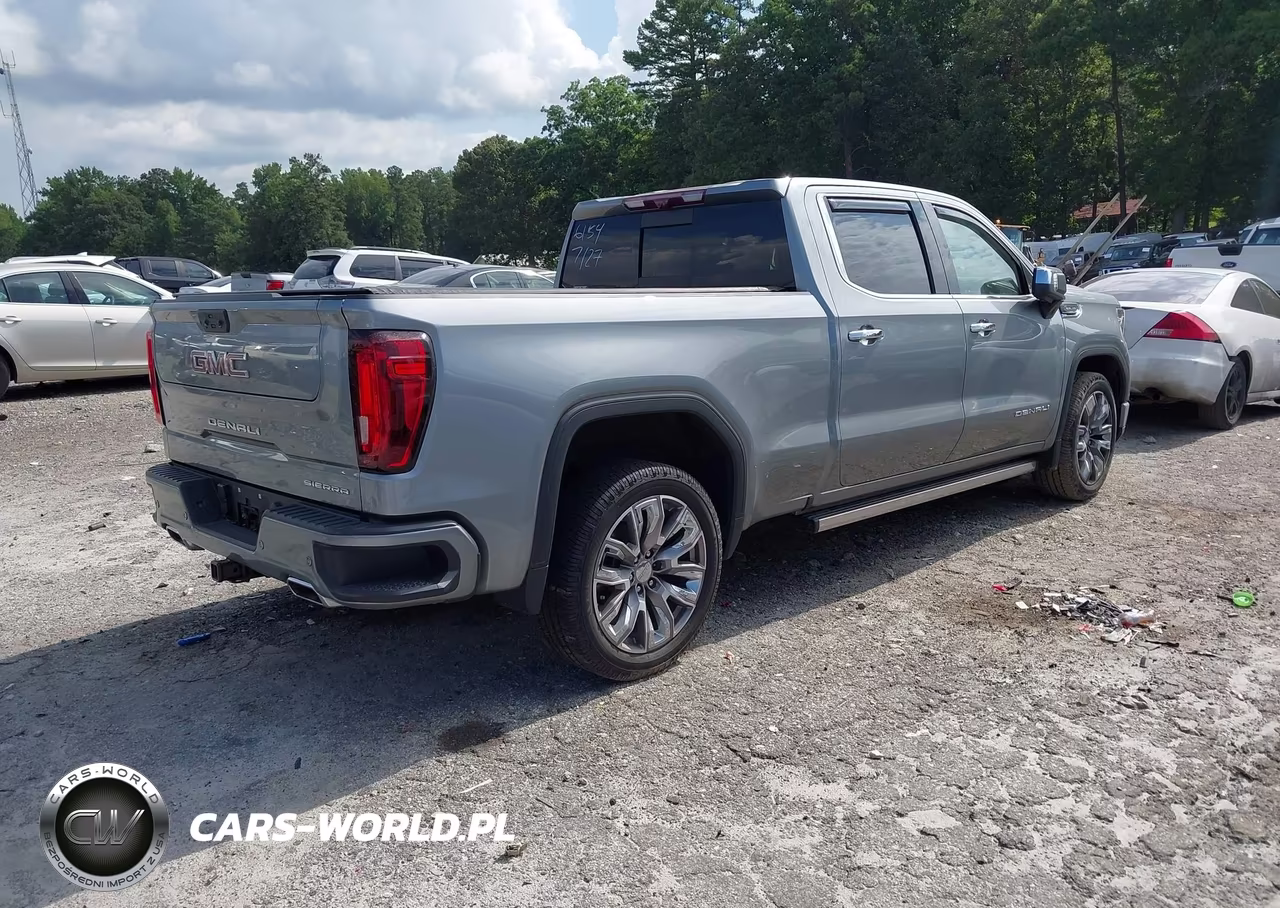 2023 GMC Sierra 1500 4Wd Standard Box Denali VIN:3GTUUGEDXPG236154 - 4