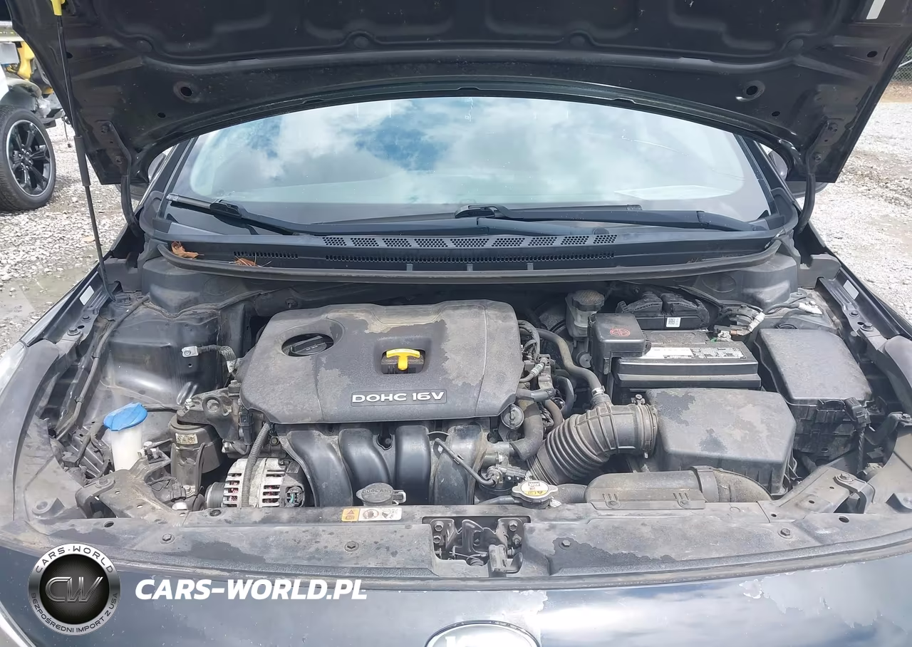 2017 Kia Forte Lx VIN:3KPFK4A7XHE127056 - 10