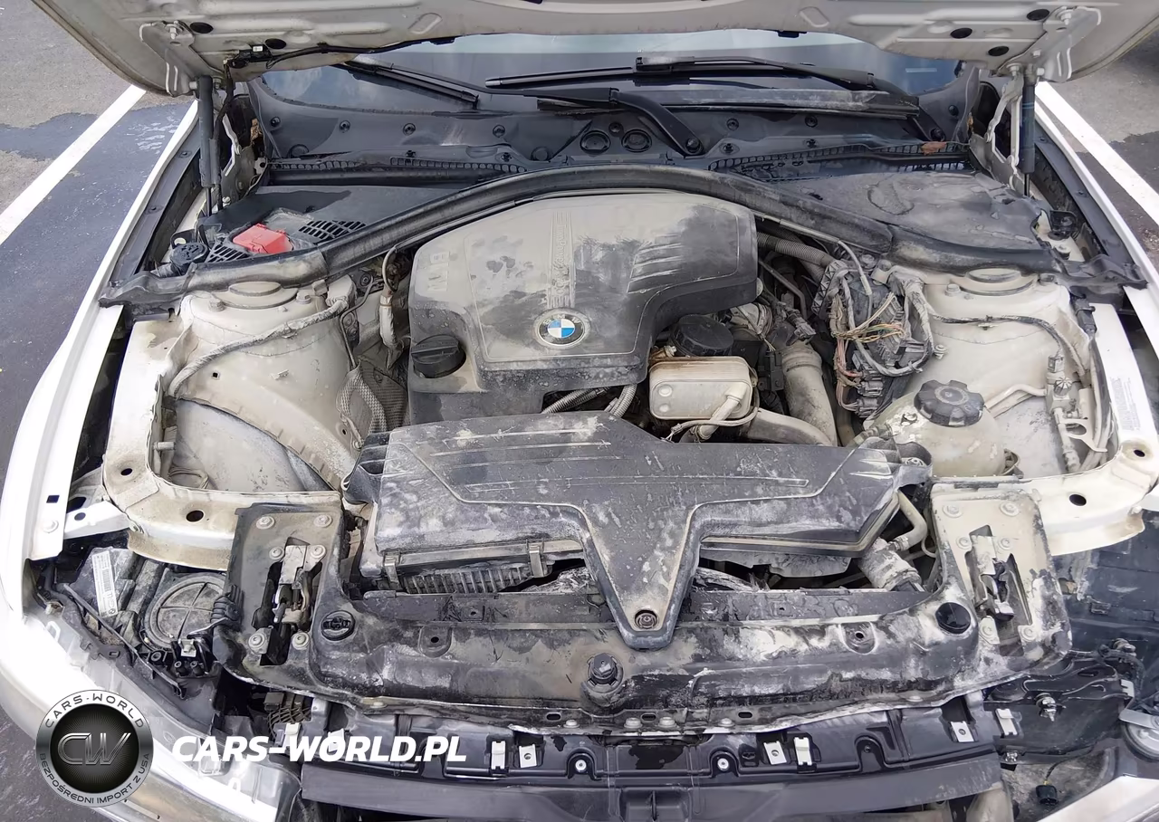 2013 BMW 320I VIN:WBA3B1C51DK129361 - 10