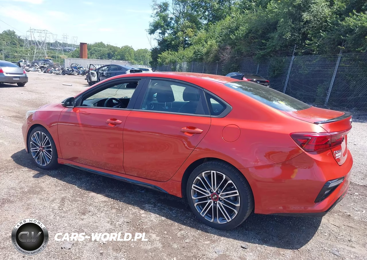 2020 Kia Forte Gt Manual VIN:3KPF44AC2LE171648 - 3