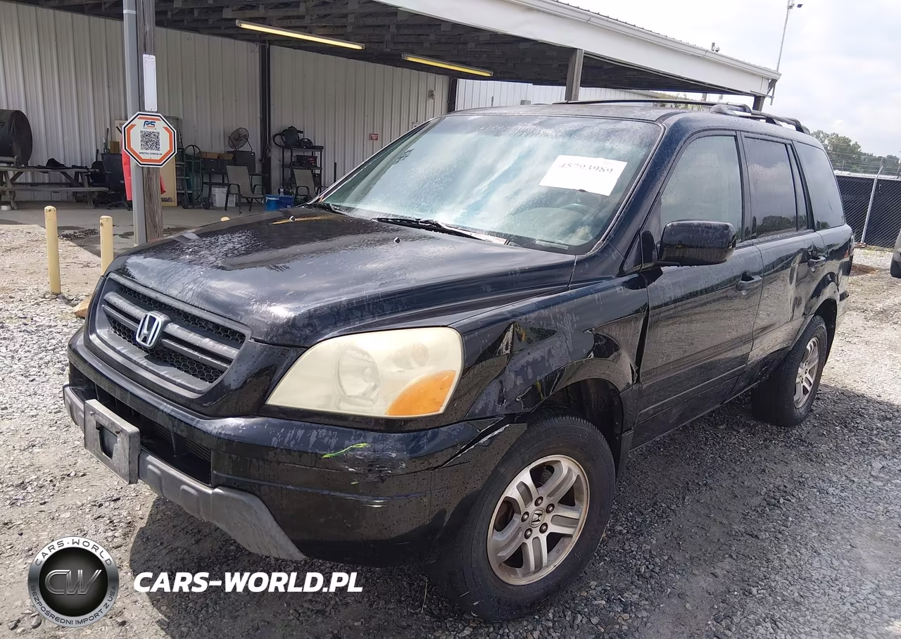 2004 Honda Pilot Ex VIN:5FNYF18464B004110 - 2