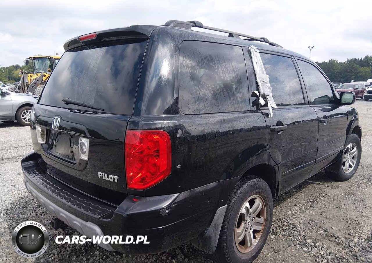 2004 Honda Pilot Ex VIN:5FNYF18464B004110 - 4