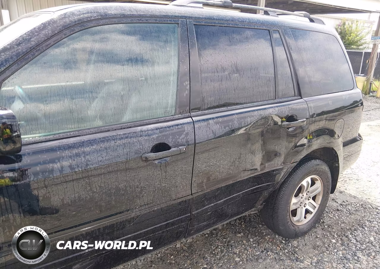 2004 Honda Pilot Ex VIN:5FNYF18464B004110 - 6