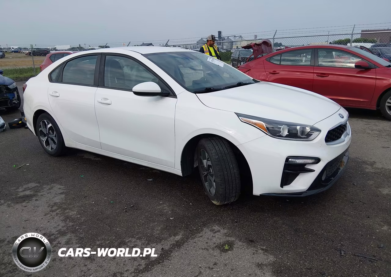 2019 Kia Forte Lxs