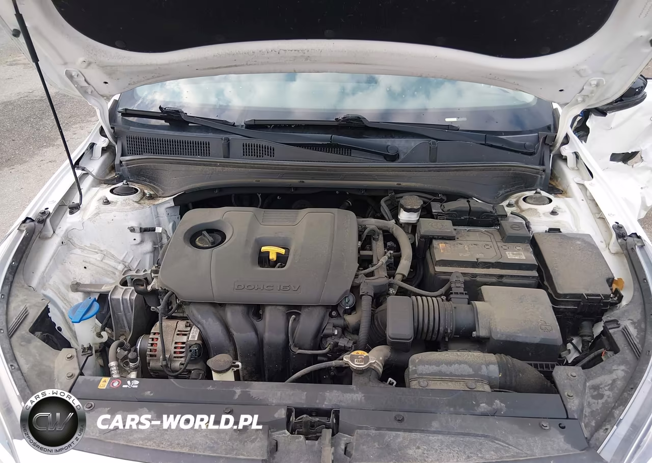 2019 Kia Forte Lxs VIN:3KPF24AD8KE125674 - 10