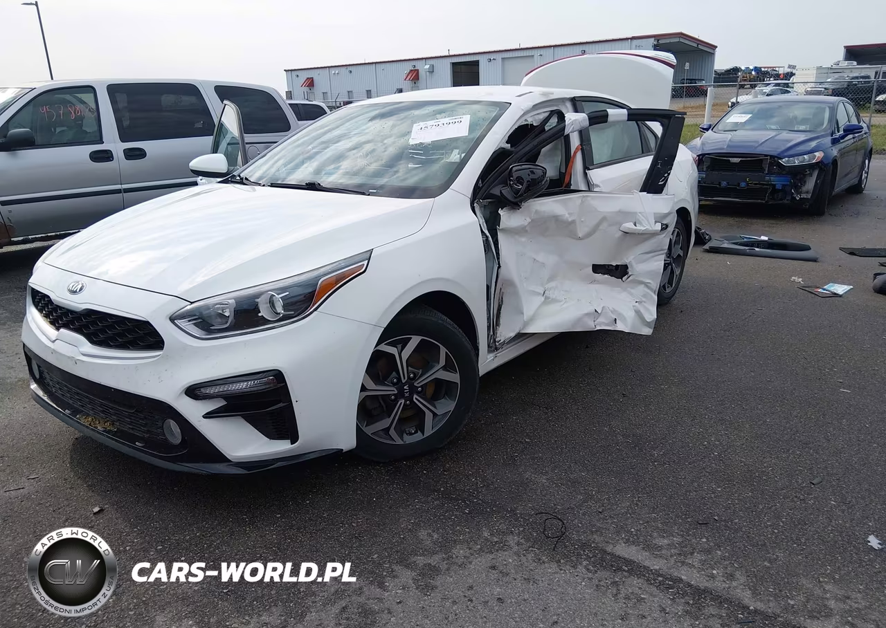 2019 Kia Forte Lxs VIN:3KPF24AD8KE125674 - 2