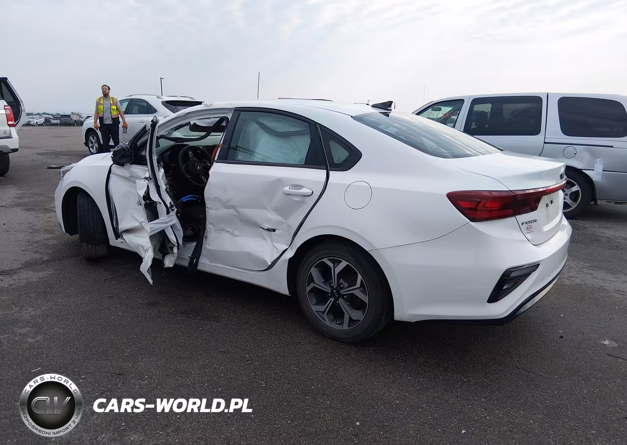 2019 Kia Forte Lxs VIN:3KPF24AD8KE125674 - 3