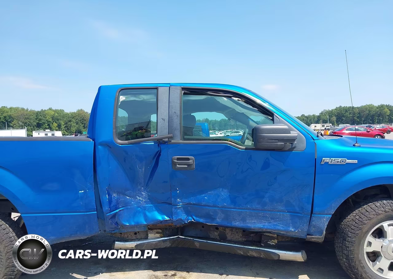 2009 Ford F-150 Stx-Xl-Xlt VIN:1FTRX14889FA49899 - 14