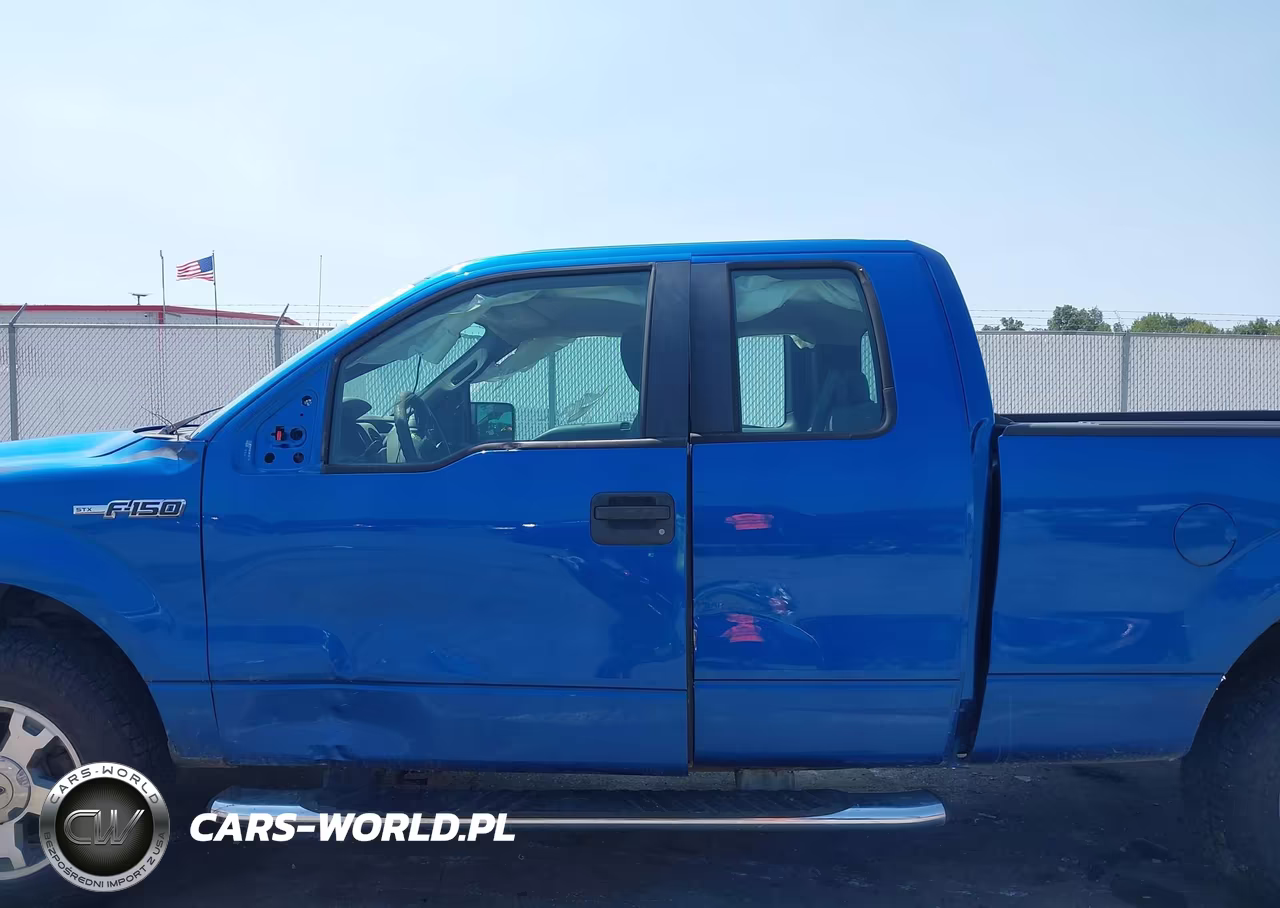 2009 Ford F-150 Stx-Xl-Xlt VIN:1FTRX14889FA49899 - 15