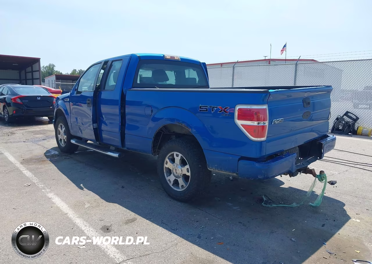 2009 Ford F-150 Stx-Xl-Xlt VIN:1FTRX14889FA49899 - 3