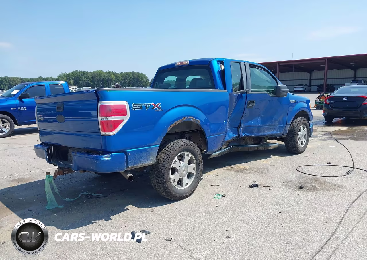 2009 Ford F-150 Stx-Xl-Xlt VIN:1FTRX14889FA49899 - 4