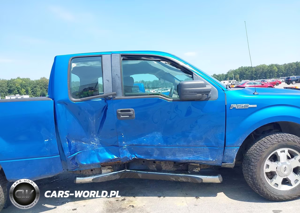 2009 Ford F-150 Stx-Xl-Xlt VIN:1FTRX14889FA49899 - 6