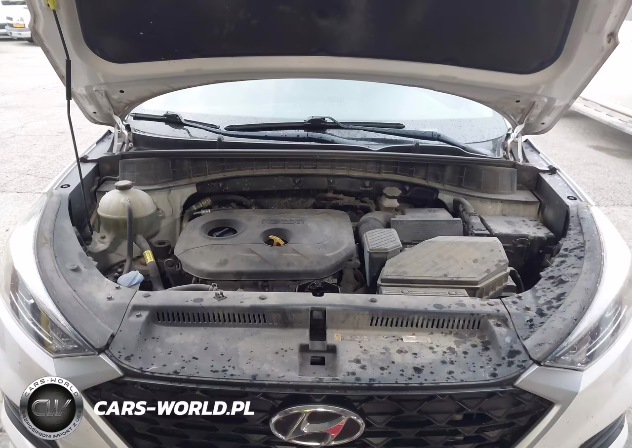 2019 Hyundai Tucson Se VIN:KM8J23A4XKU995010 - 10