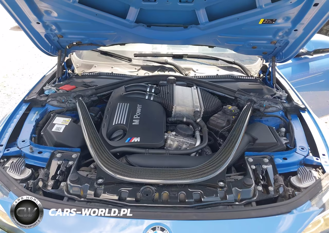 2018 BMW M3 Cs VIN:WBS8M9C54J5K98410 - 10