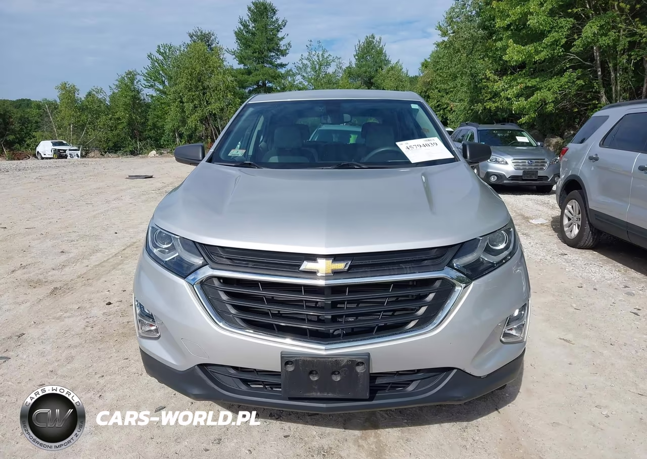 2019 Chevrolet Equinox Ls VIN:2GNAXSEV4K6107571 - 12