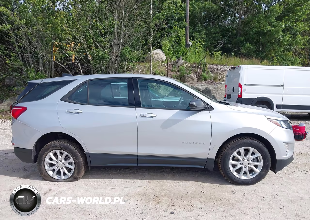 2019 Chevrolet Equinox Ls VIN:2GNAXSEV4K6107571 - 13