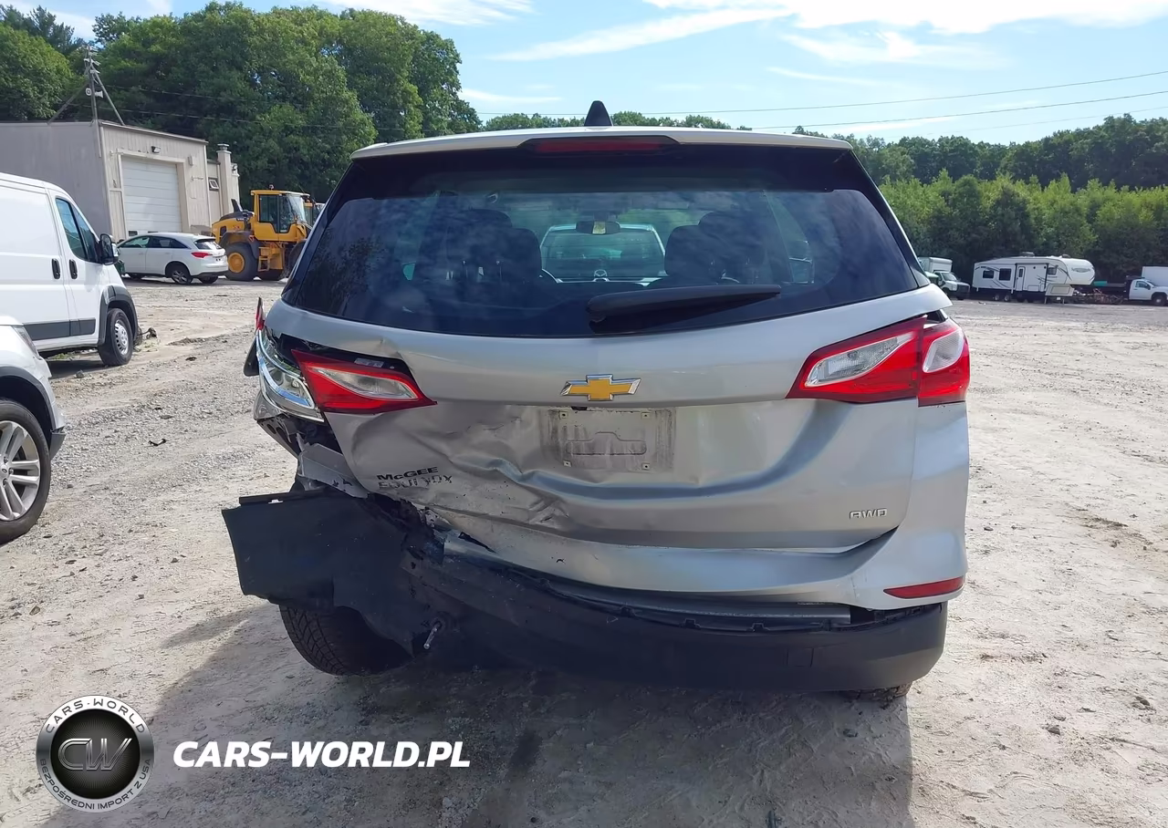 2019 Chevrolet Equinox Ls VIN:2GNAXSEV4K6107571 - 16
