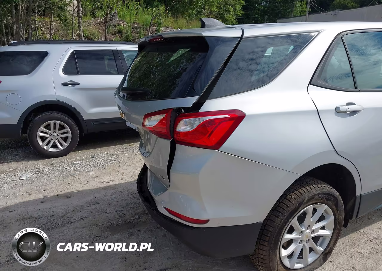 2019 Chevrolet Equinox Ls VIN:2GNAXSEV4K6107571 - 17