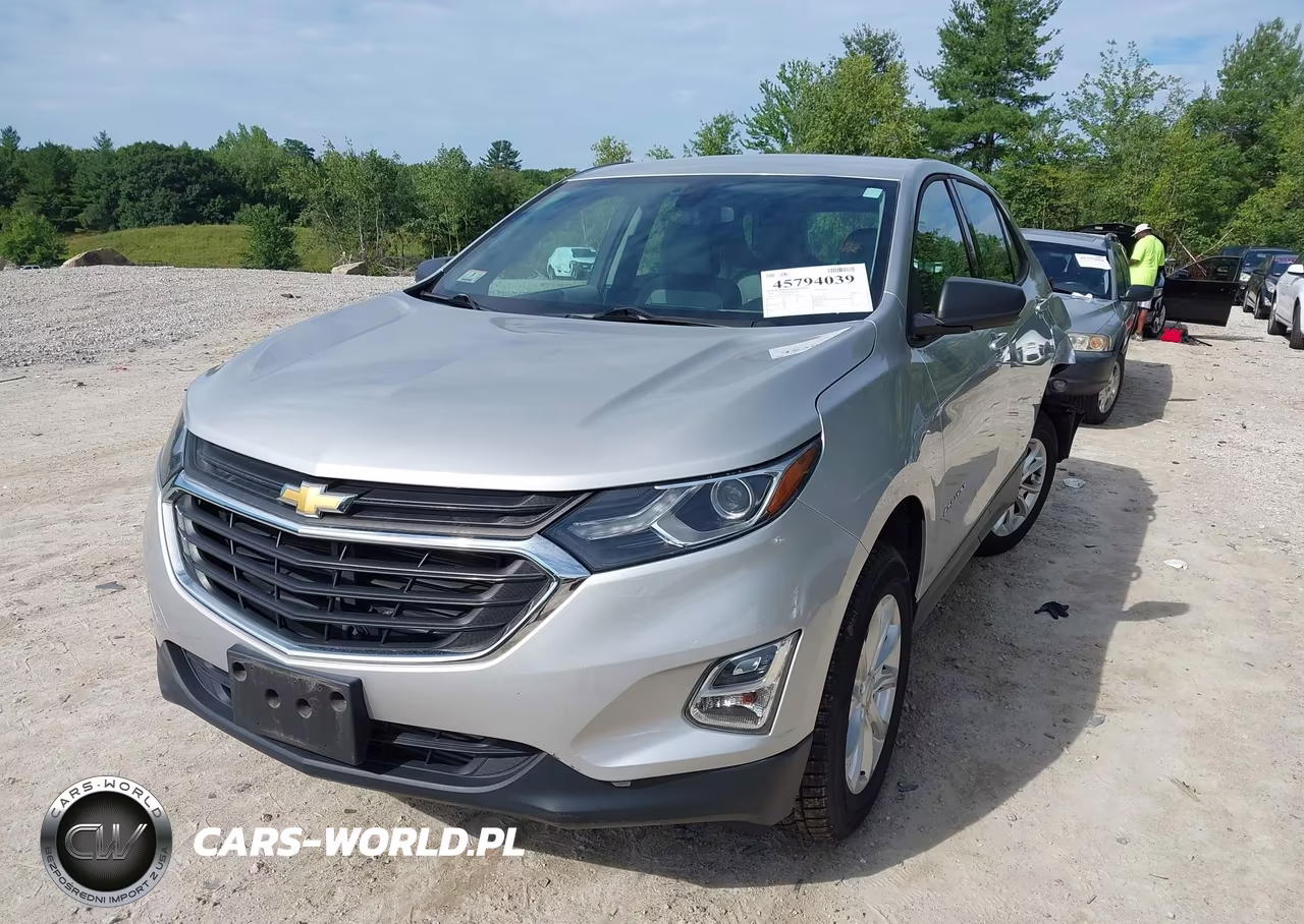2019 Chevrolet Equinox Ls VIN:2GNAXSEV4K6107571 - 2
