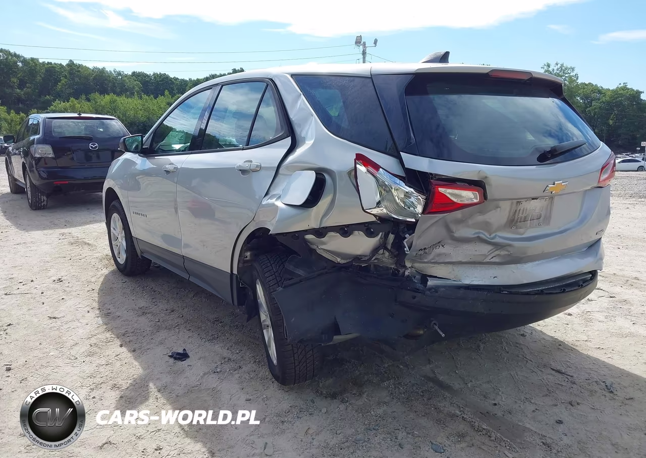 2019 Chevrolet Equinox Ls VIN:2GNAXSEV4K6107571 - 3