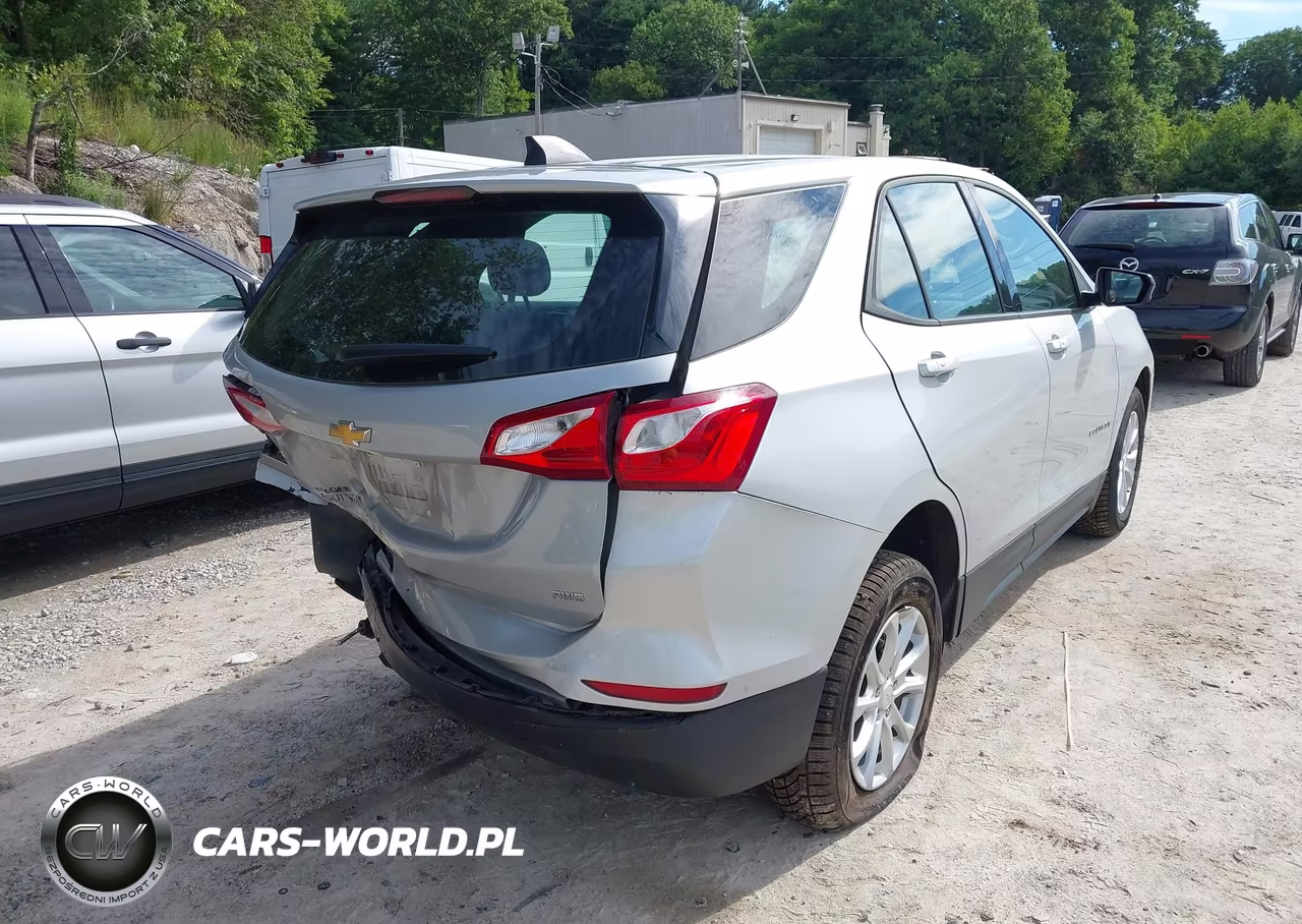 2019 Chevrolet Equinox Ls VIN:2GNAXSEV4K6107571 - 4