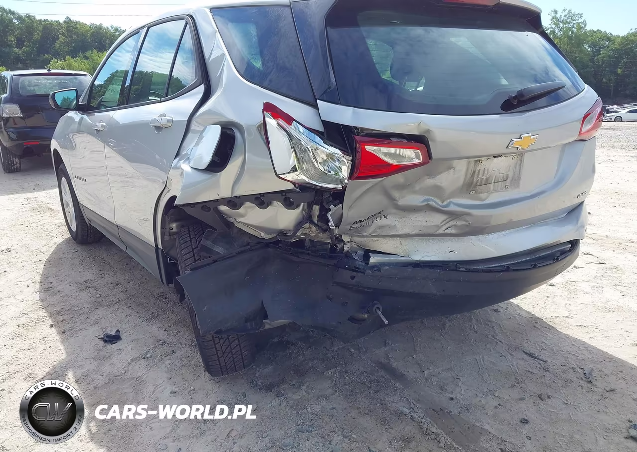 2019 Chevrolet Equinox Ls VIN:2GNAXSEV4K6107571 - 6