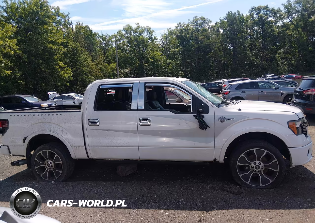 2012 Ford F-150 Harley-Davidson VIN:1FTFW1E69CFA32958 - 13