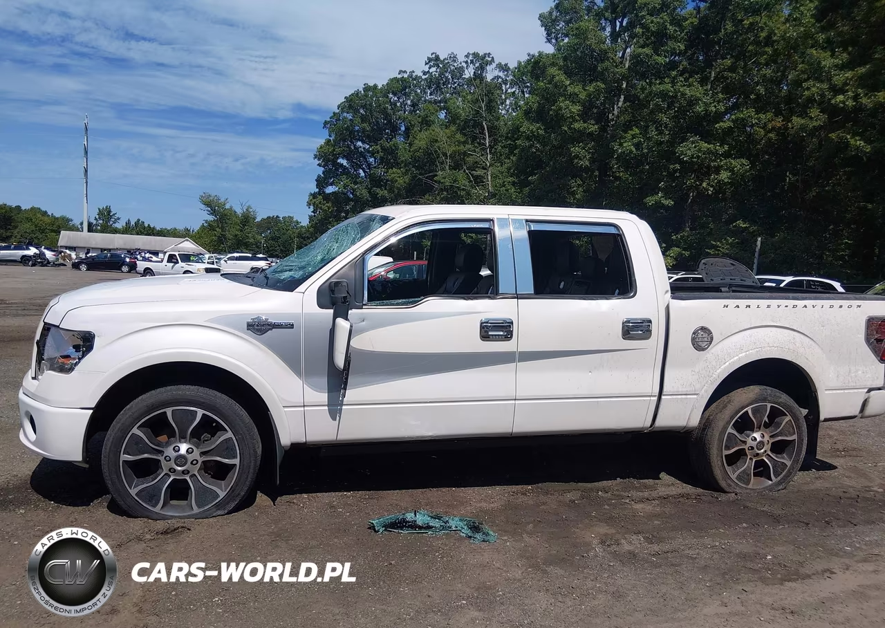 2012 Ford F-150 Harley-Davidson VIN:1FTFW1E69CFA32958 - 14