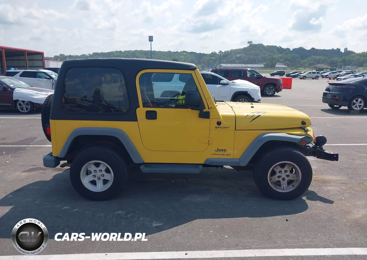 2004 Jeep Wrangler Sport VIN:1J4FA49S94P777853 - 13