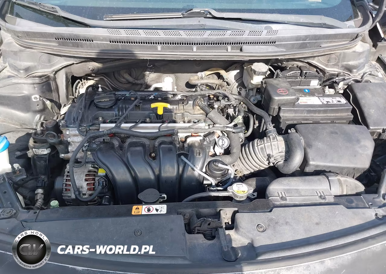 2016 Kia Forte Lx VIN:KNAFK4A6XG5542540 - 10