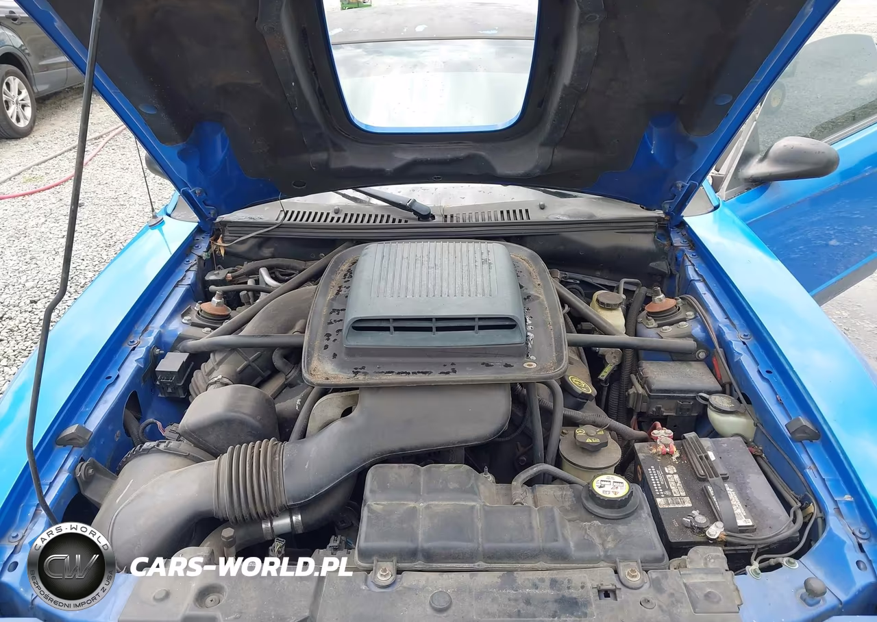 2003 Ford Mustang Mach 1 VIN:1FAFP42R63F429899 - 10