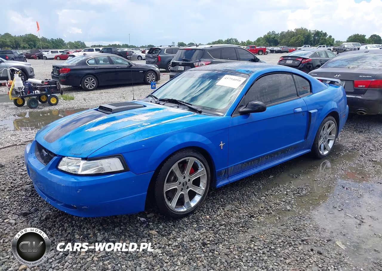 2003 Ford Mustang Mach 1 VIN:1FAFP42R63F429899 - 2