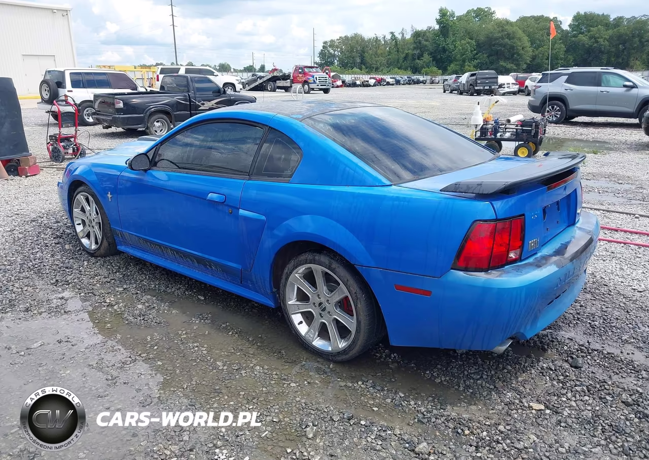 2003 Ford Mustang Mach 1 VIN:1FAFP42R63F429899 - 3