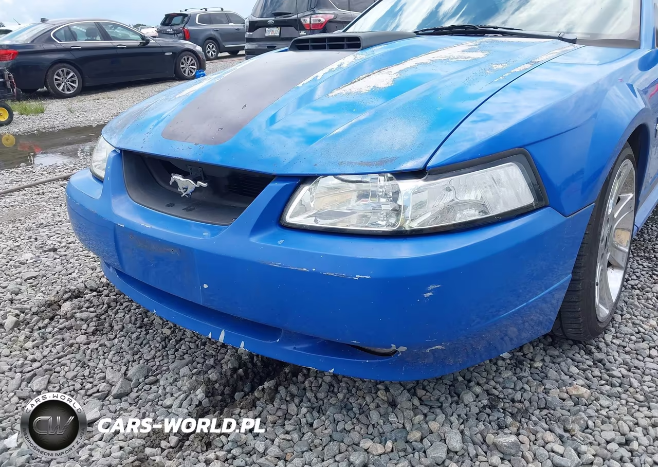 2003 Ford Mustang Mach 1 VIN:1FAFP42R63F429899 - 6