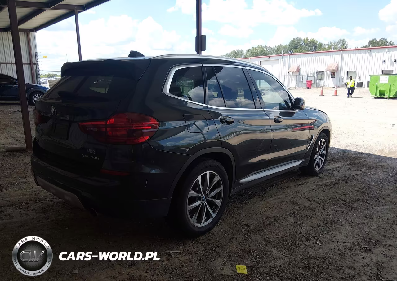 2019 BMW X3 Sdrive30I VIN:5UXTR7C51KLR45221 - 4