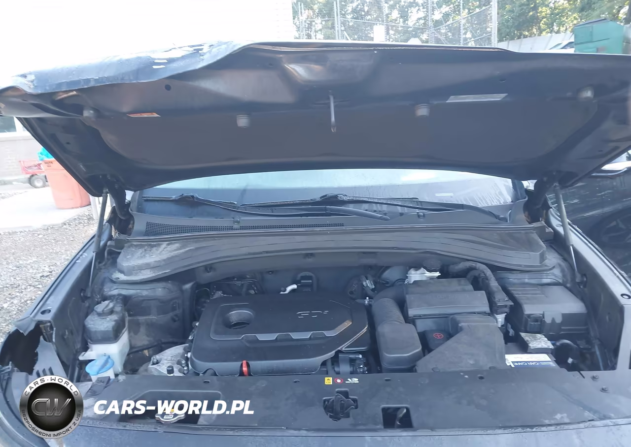 2020 Hyundai Santa Fe Limited VIN:5NMS5CAD0LH224161 - 10