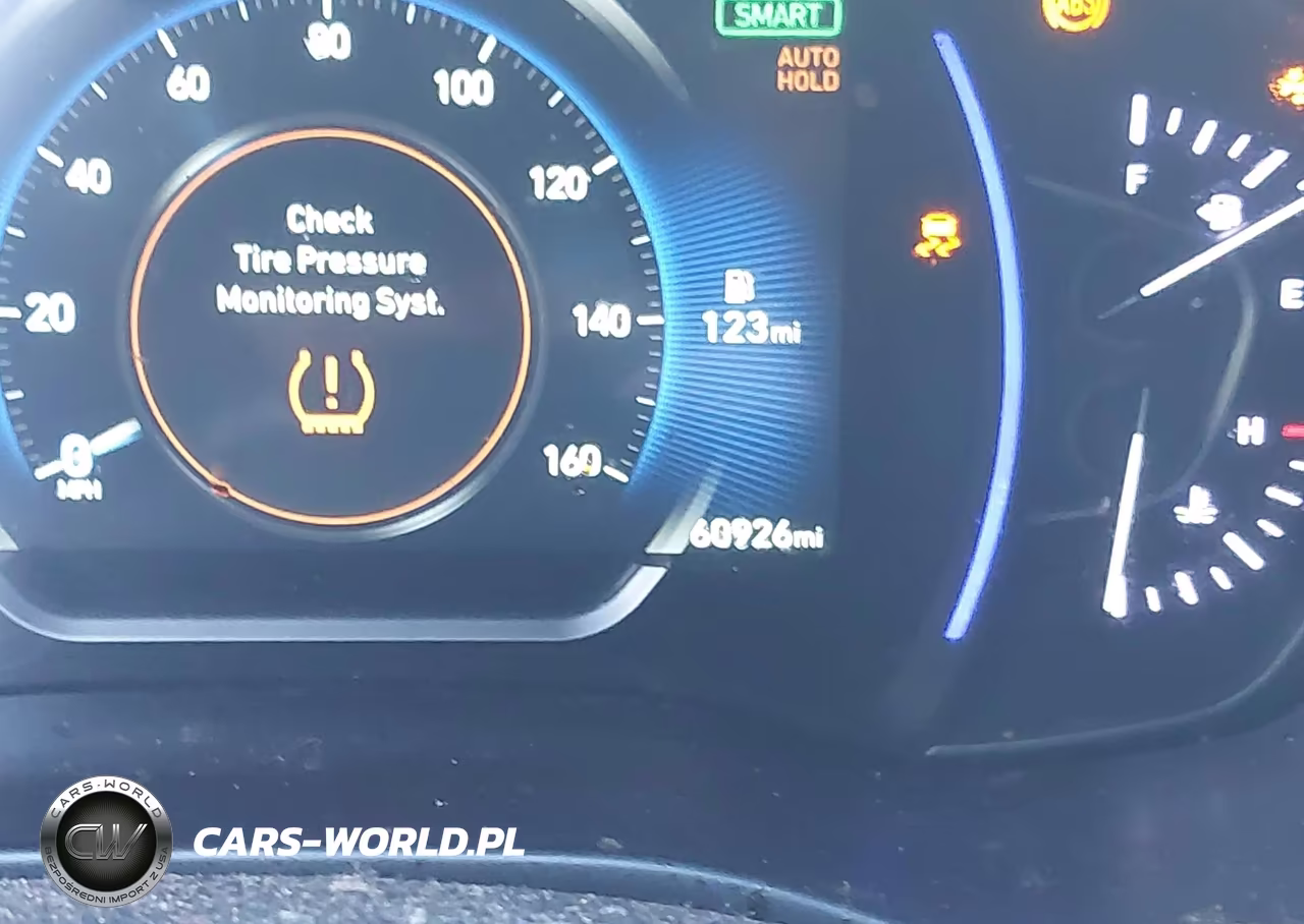 2020 Hyundai Santa Fe Limited VIN:5NMS5CAD0LH224161 - 15