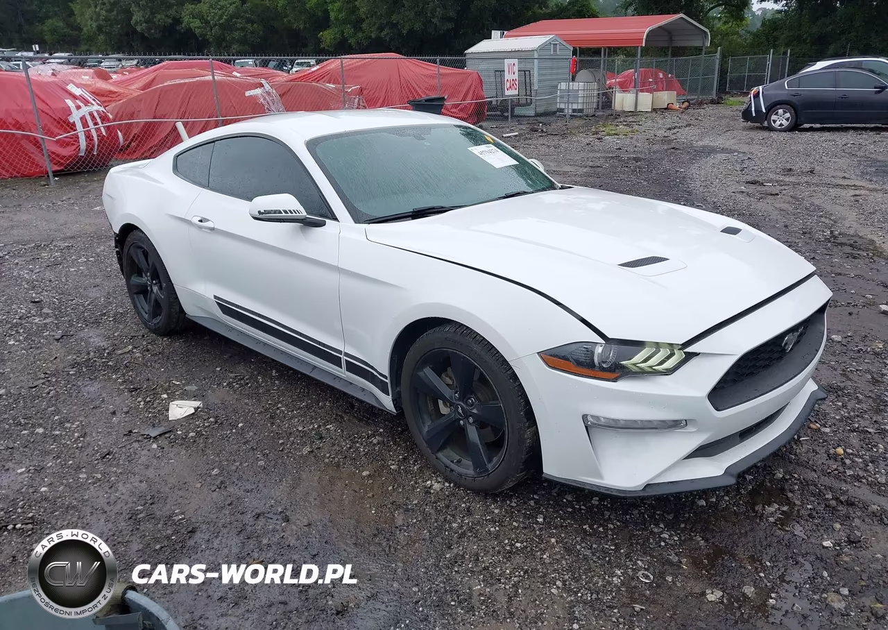 2019 Ford Mustang Ecoboost